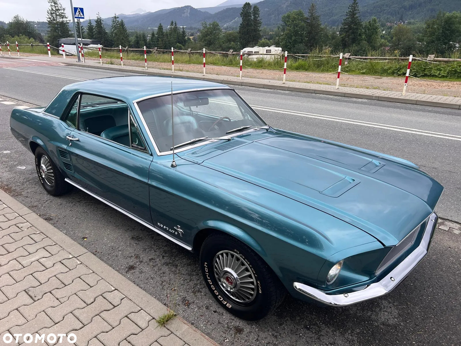 Ford Mustang - 8
