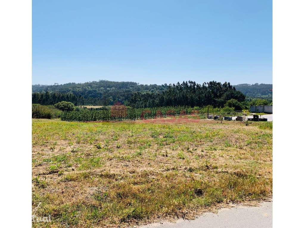 Terreno situado em Salir de Matos. - Grande imagem: 2/13