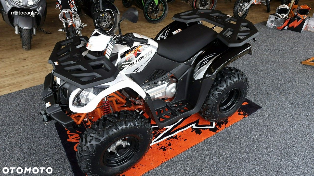 KAYO AU - 19