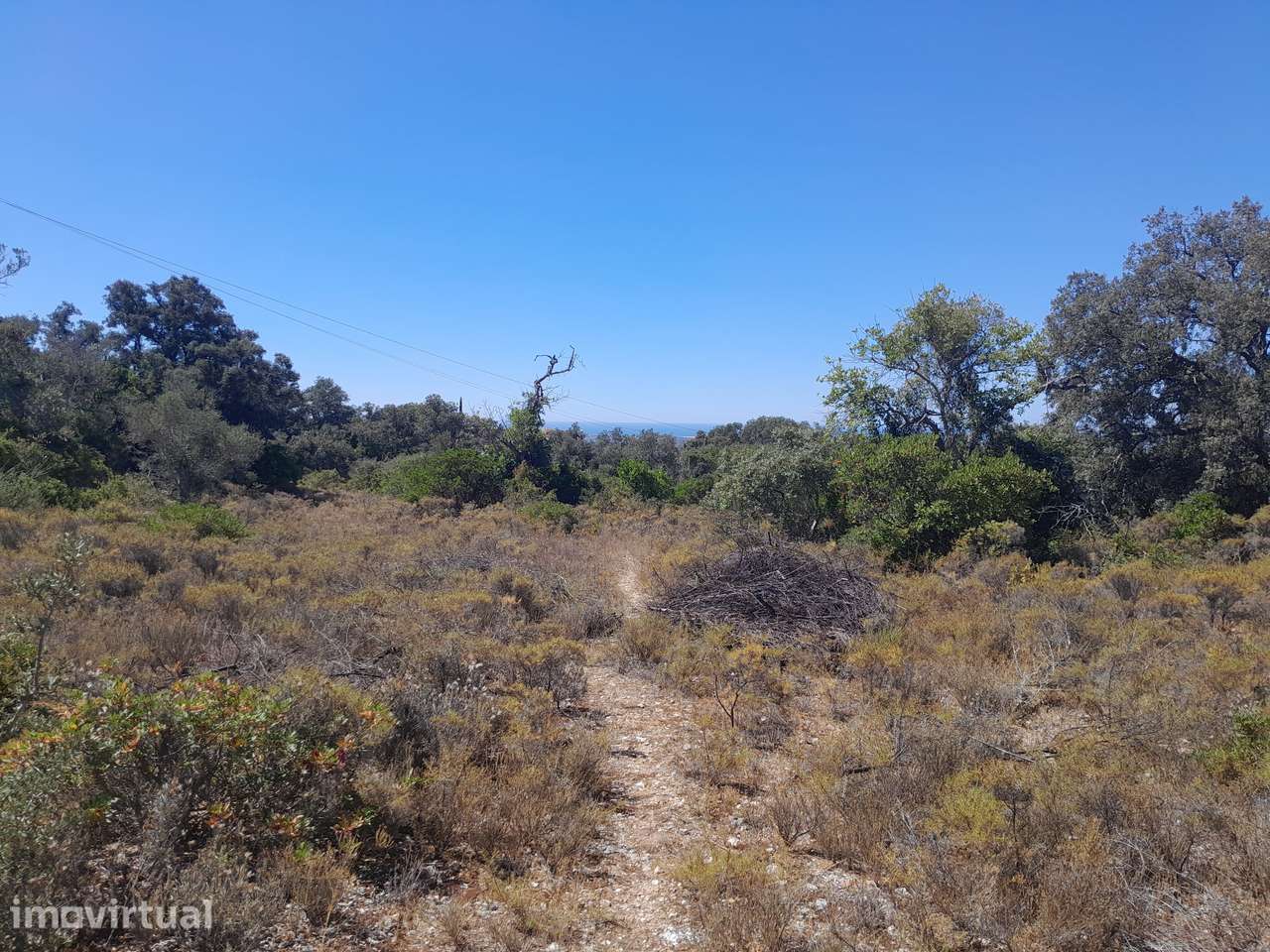 Terrenos Venda Sta Bárbara Nexe C/ Vista Mar - Grande imagem: 4/11