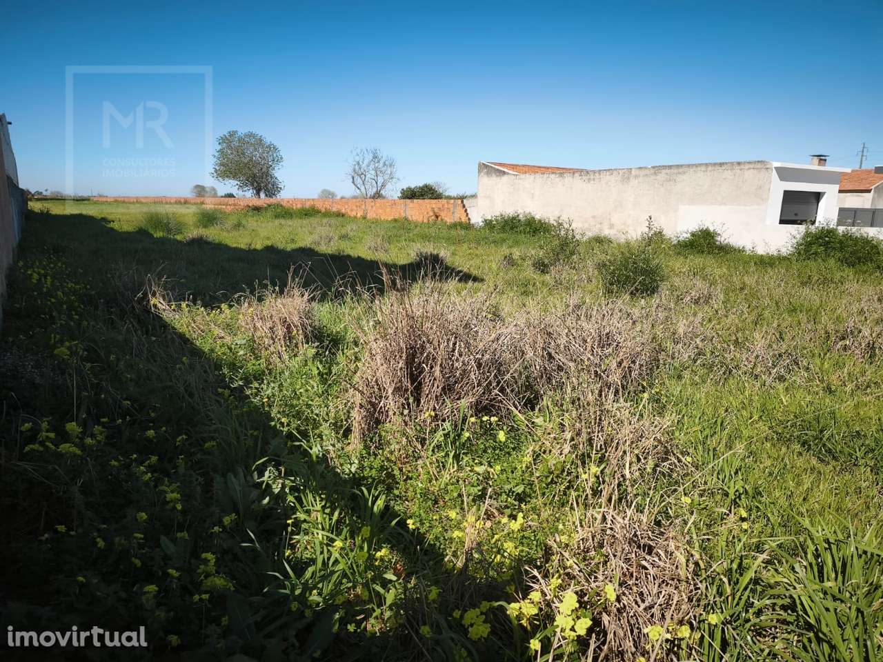 Terreno  Venda em Ílhavo (São Salvador),Ílhavo - Grande imagem: 3/5