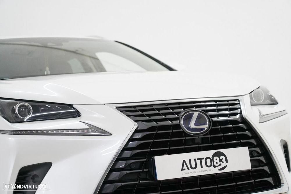 Lexus NX 300h Executive+ - 15