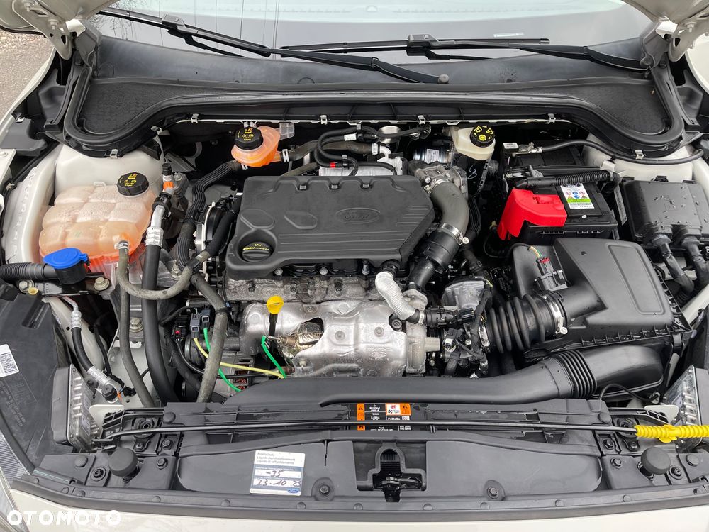 Ford Focus 1.5 EcoBlue Active Business - 19