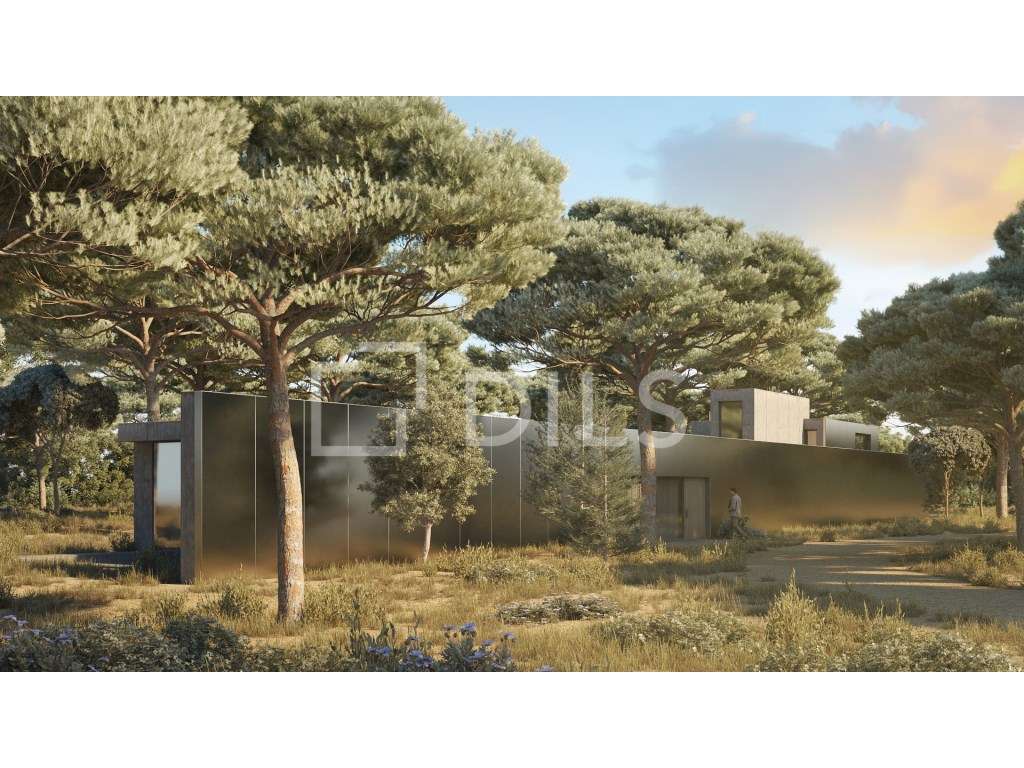 Terreno com projeto aprovado, Muda - Grande imagem: 3/13