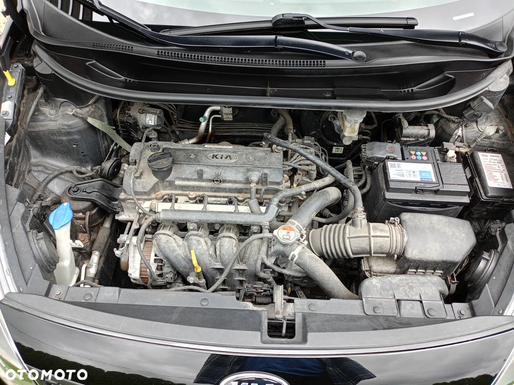 Kia Rio 1.2 Dream Team Edition - 14