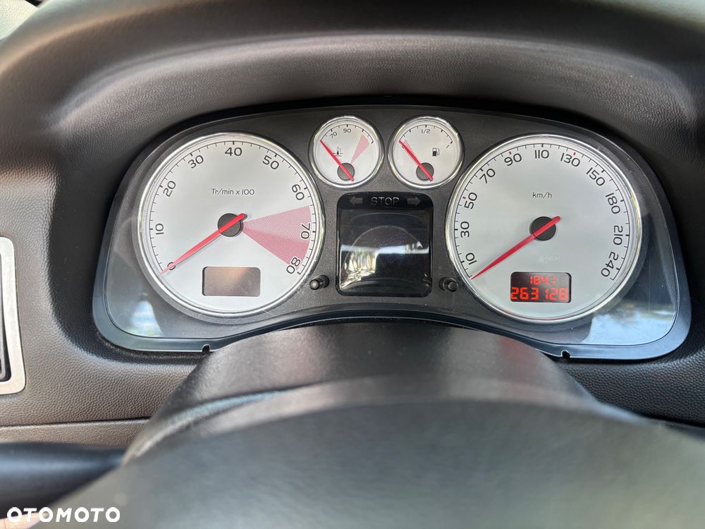 Peugeot 307 - 13