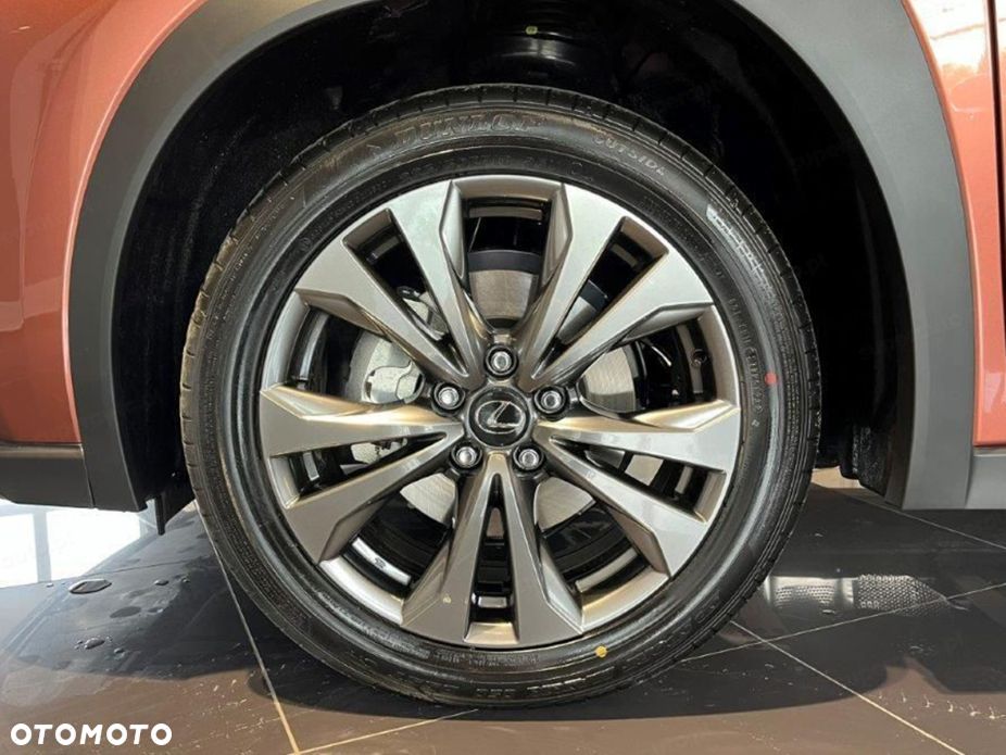 Lexus UX 300h F Sport - 13