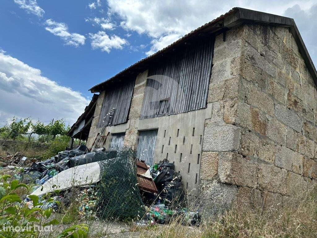 Quintinha tradicional para recuperar em Constance, Marco de Canaveses - Grande imagem: 5/24