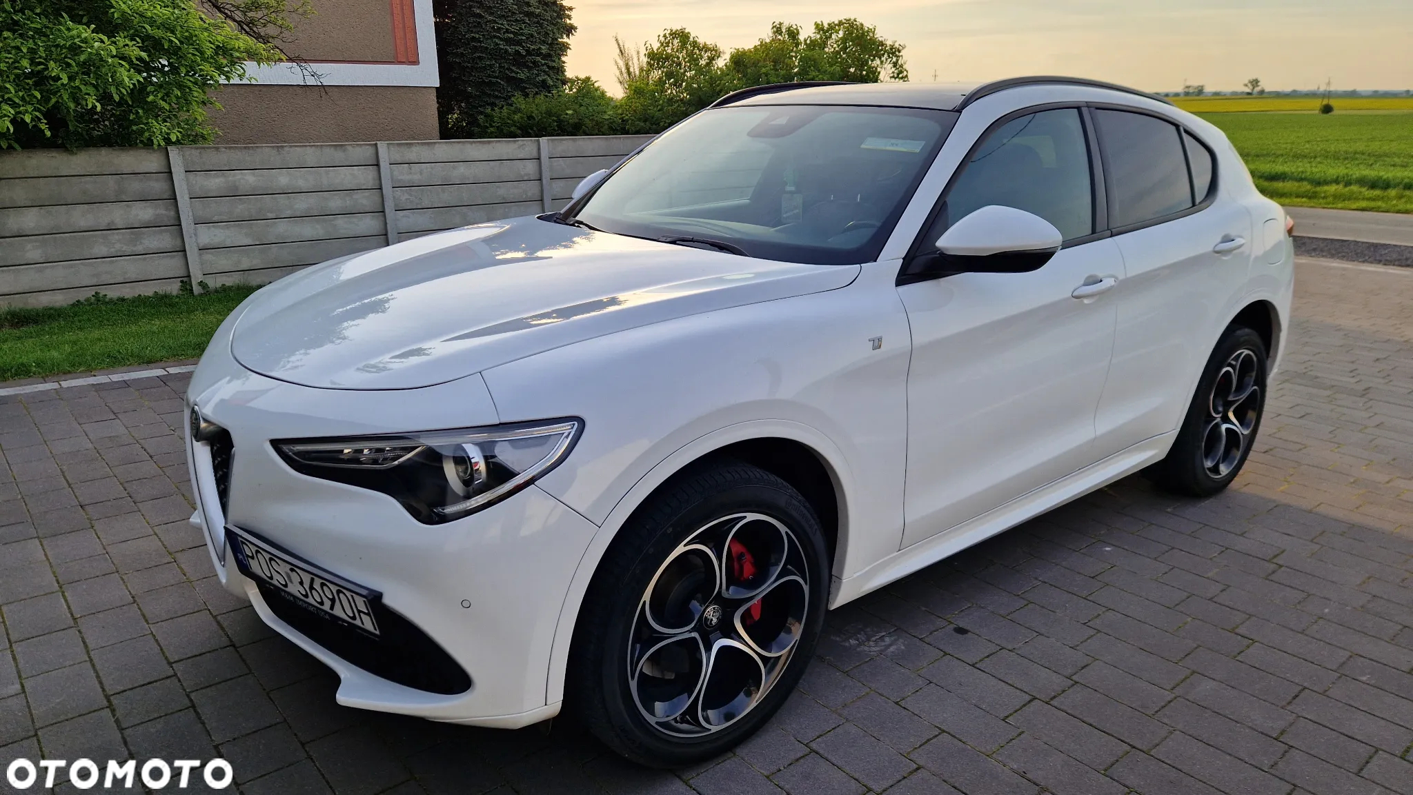 Alfa Romeo Stelvio 2.0 Turbo TI Q4 - 2
