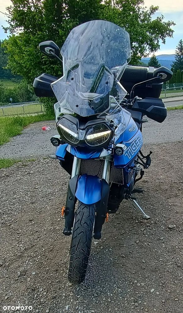 Triumph Tiger - 14