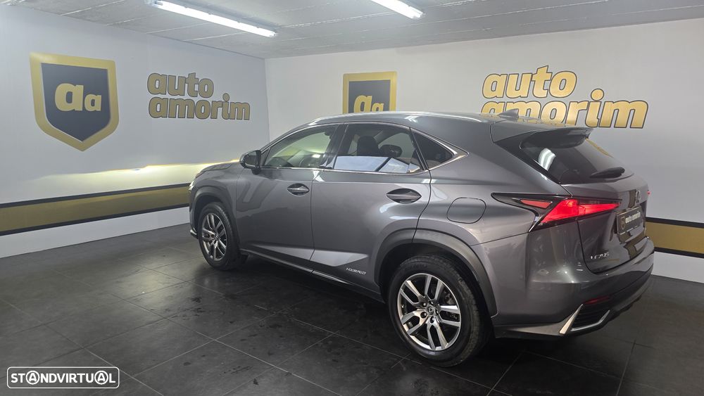 Lexus NX 300h Executive+ - 14