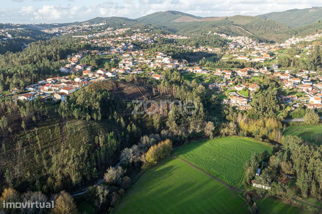 Terreno Florestal - Grande imagem: 4/16