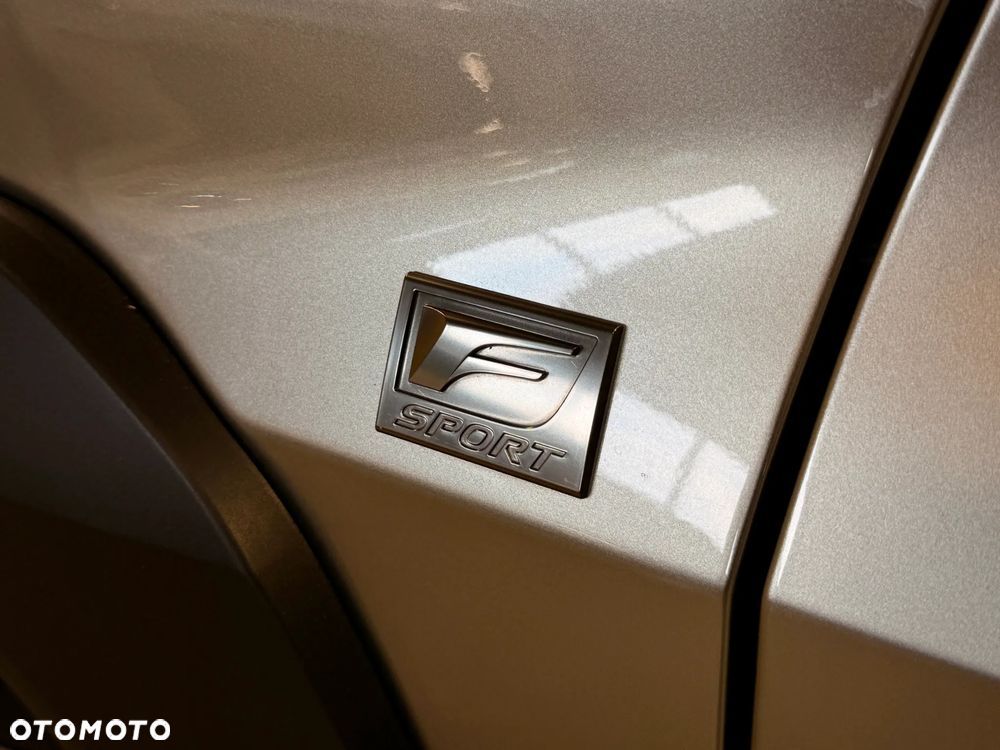 Lexus UX 250h GPF F Sport Design+ 2WD - 6