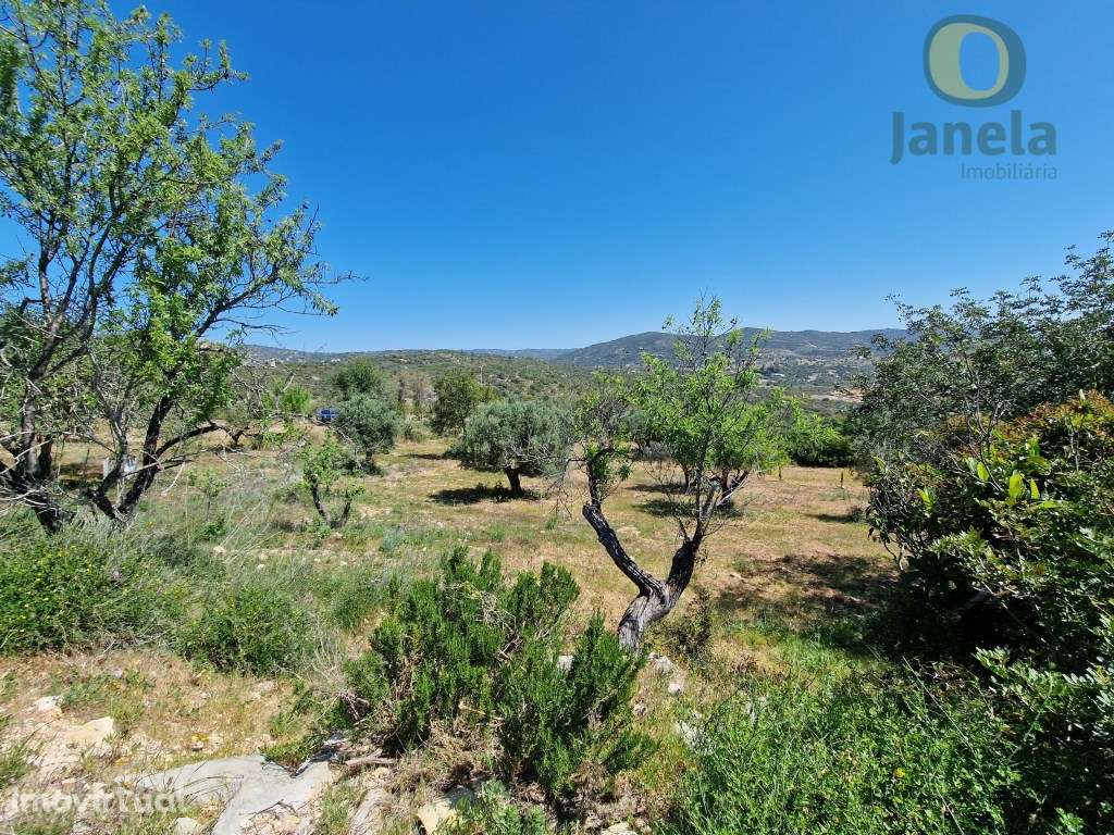 Fabuloso terreno de 7895 m2, PROJETO APROVADO para moradia, com VIs... - Grande imagem: 5/38