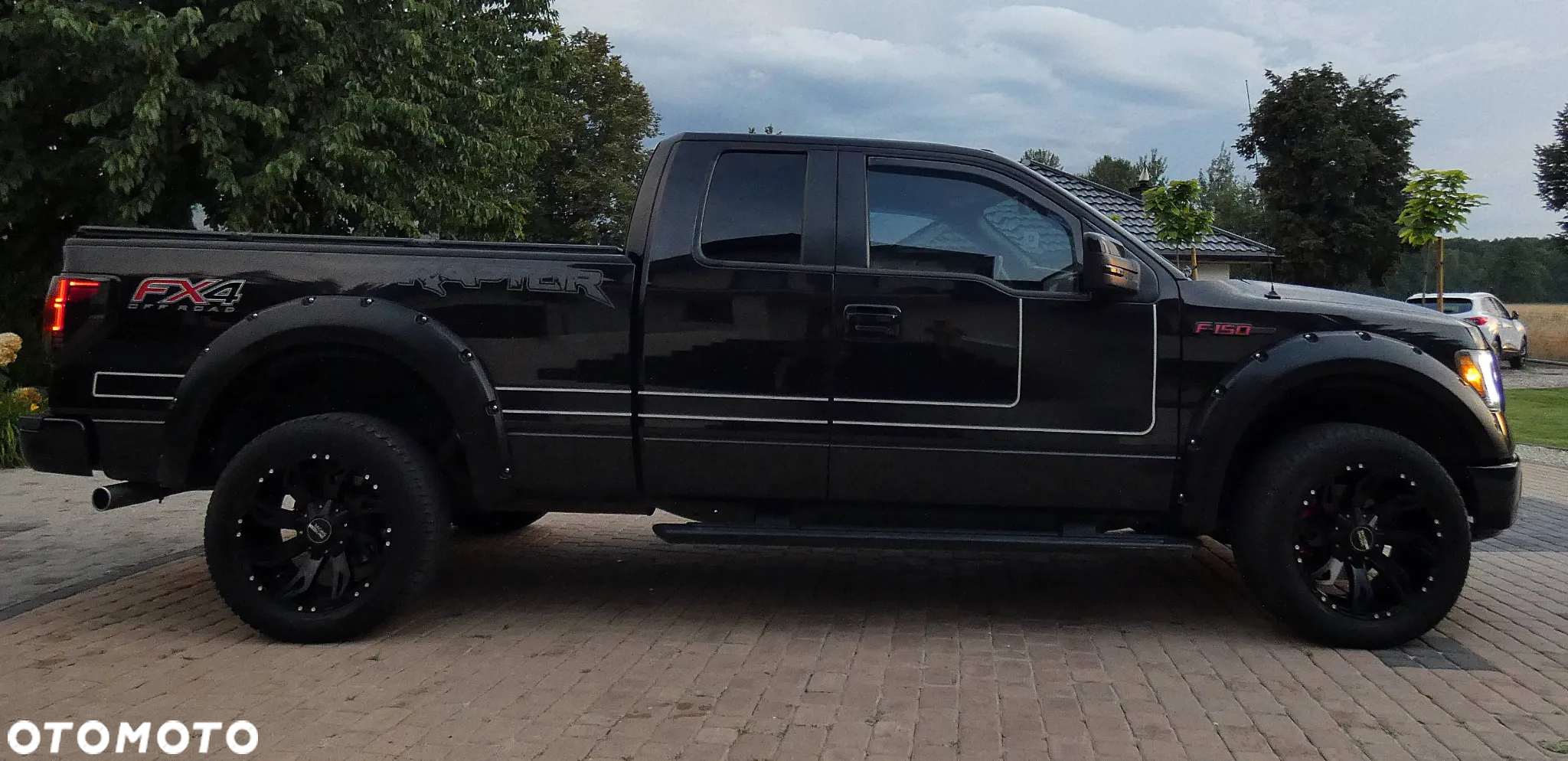 Ford F150 - 19