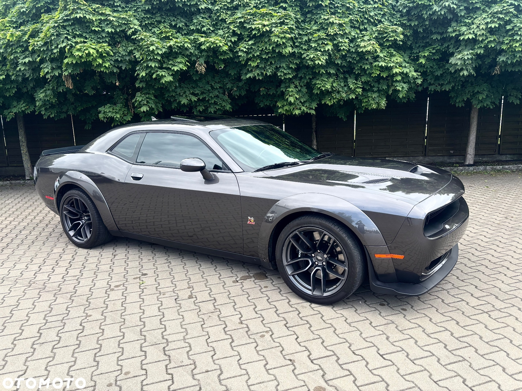 Dodge Challenger 6.4 Scat PackWidebody - 4