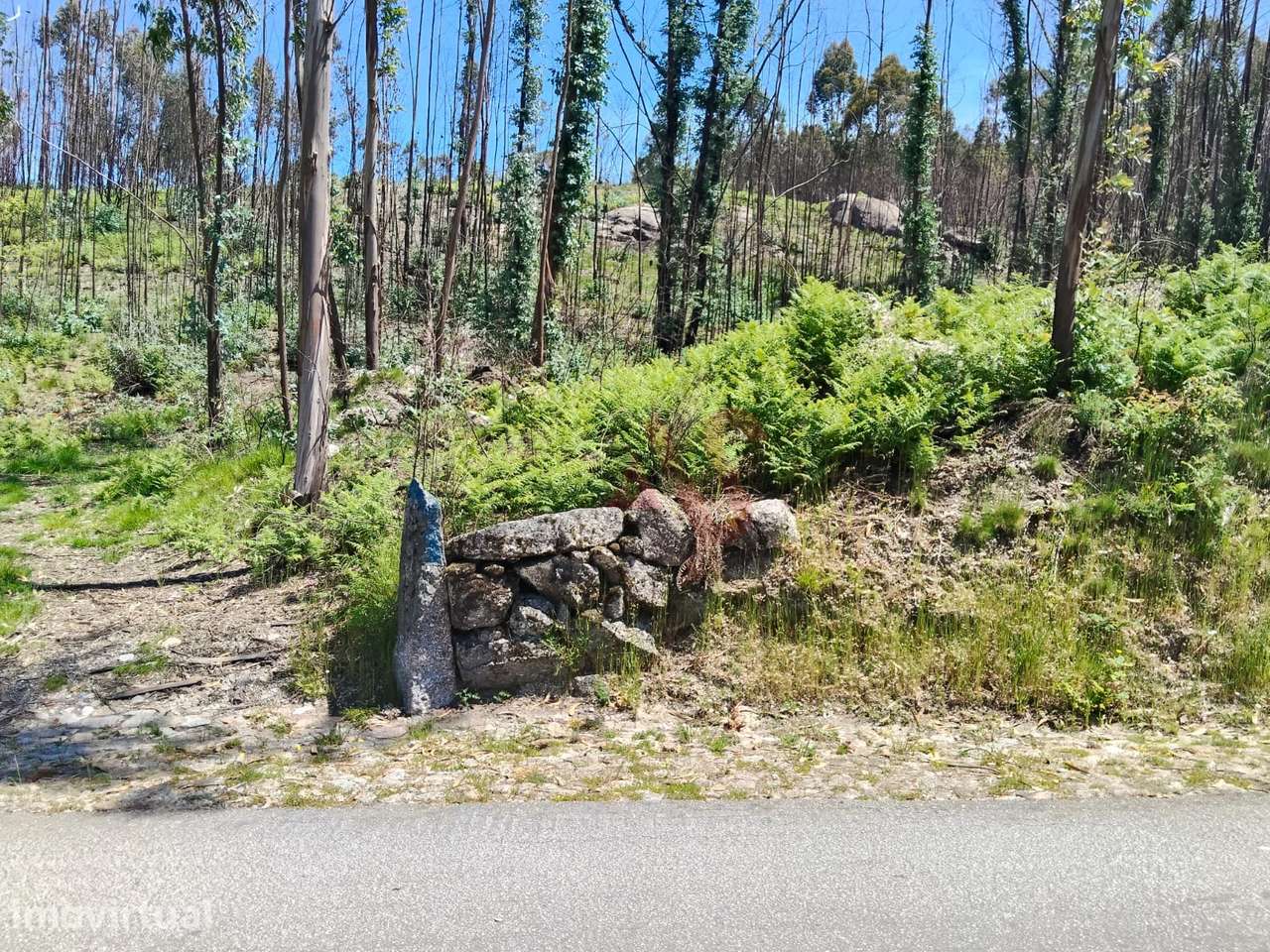 Terreno Rústico com 15.064,30 m² em Seidões, Fafe - Grande imagem: 2/3