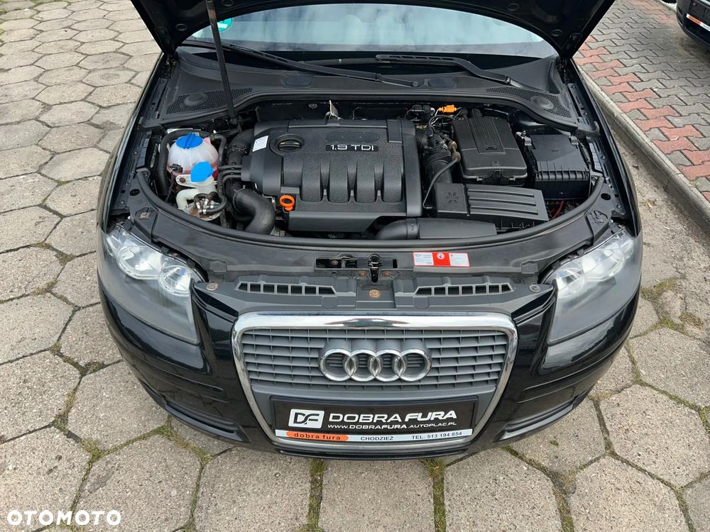 Audi A3 3-drzwiowe 1.9 TDI DPF S Line Sportpaket plus - 16