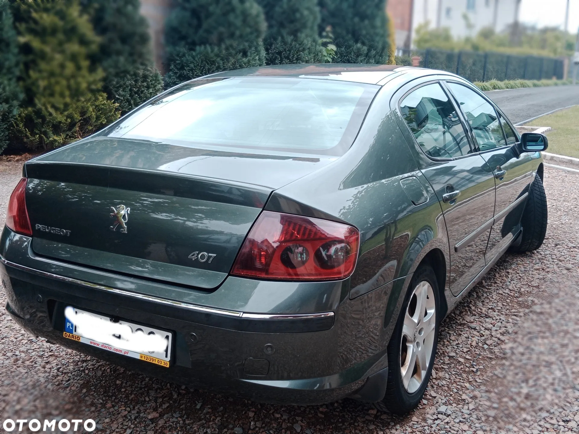 Peugeot 407 2.0 HDI Platinum - 3