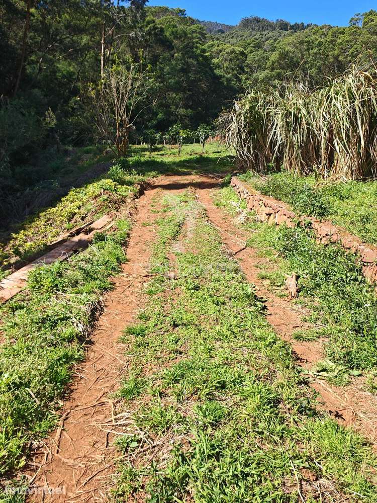 Terreno com 21 500,00 m2 à Venda Em Caniçal - Grande imagem: 3/37