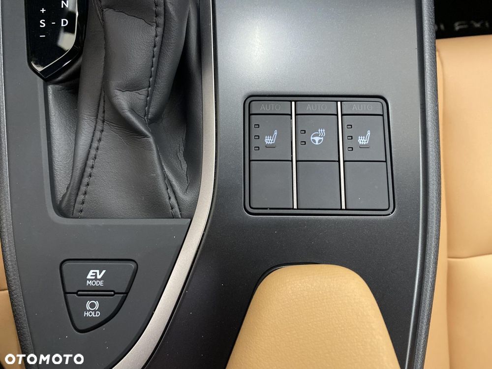 Lexus UX 250h GPF F Sport Design 2WD - 16