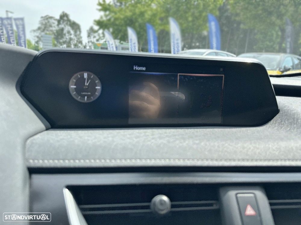 Lexus UX 300e Luxury - 13