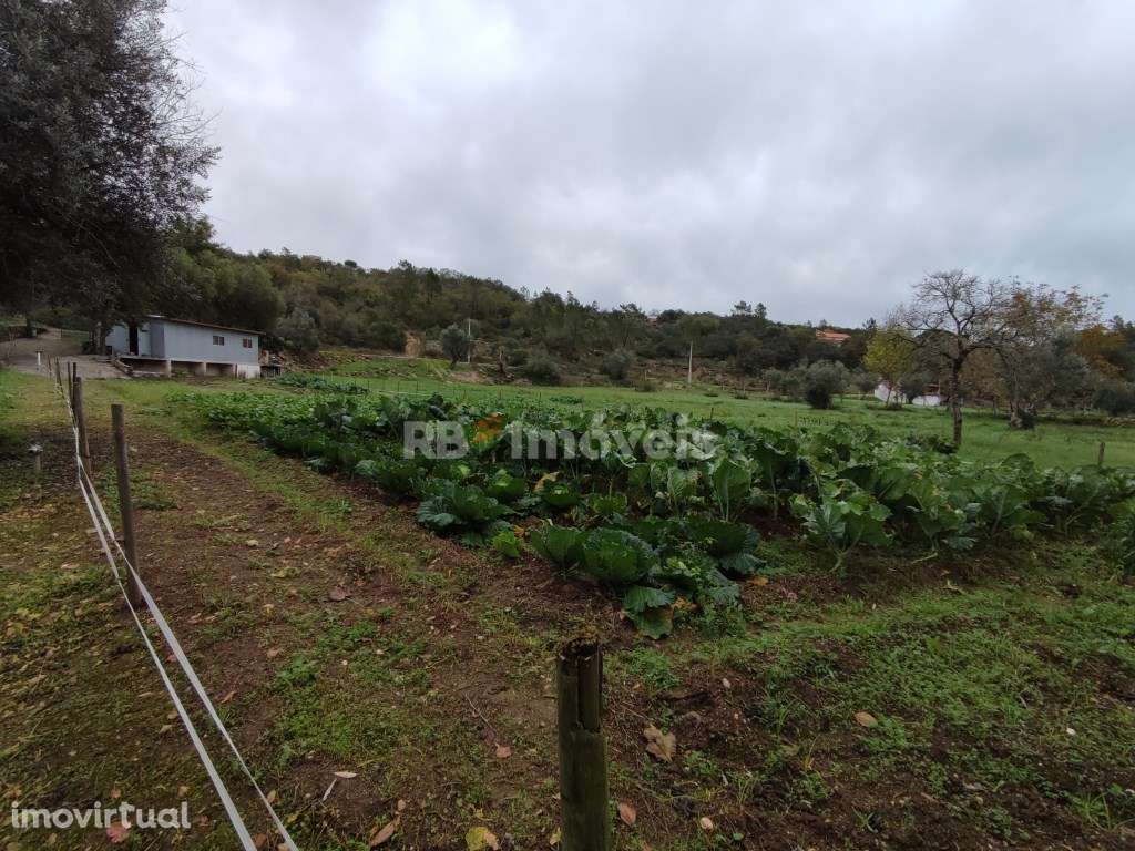 Terreno à beira rio com 946m² - Sobreirinho, Tomar - Grande imagem: 4/34
