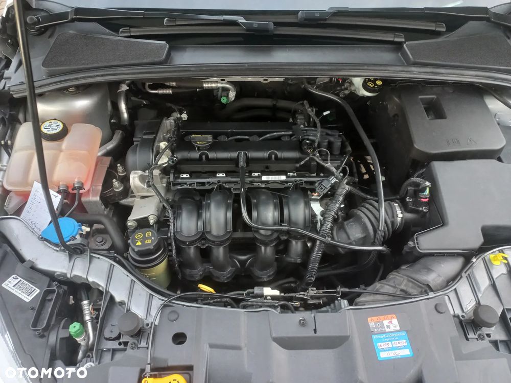 Ford Focus 1.6 TI-VCT Ambiente - 6