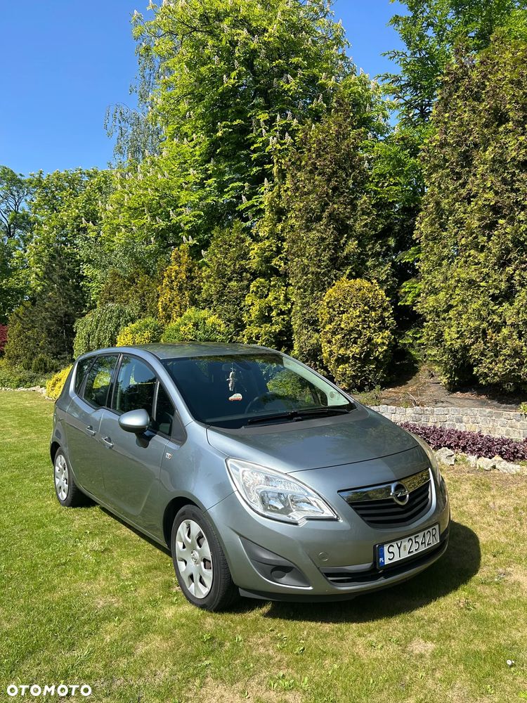 Opel Meriva 1.4 Color Edition - 11