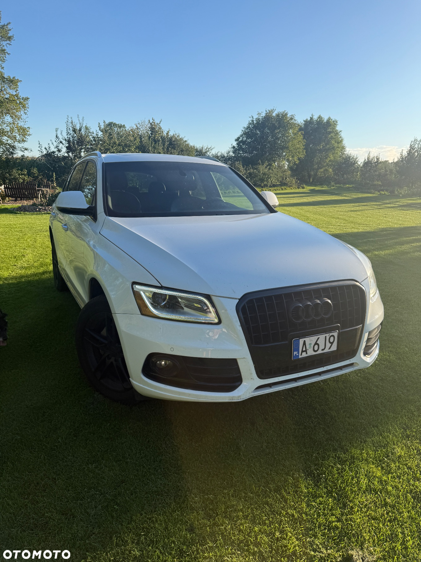 Audi Q5 2.0 TFSI Quattro Tiptronic - 2