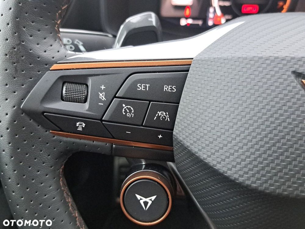 Cupra Formentor 2.0 TSI 4Drive VZ DSG - 24