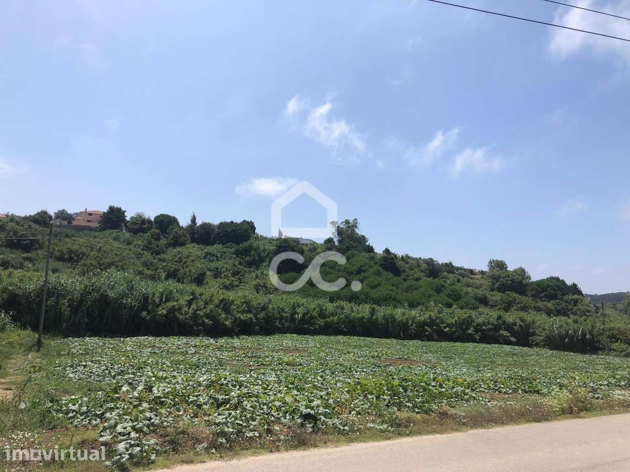 Excelente terreno agrícola com 4760 m2 - Grande imagem: 3/6