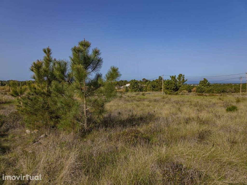 Terreno - Zambujal - Grande imagem: 3/6