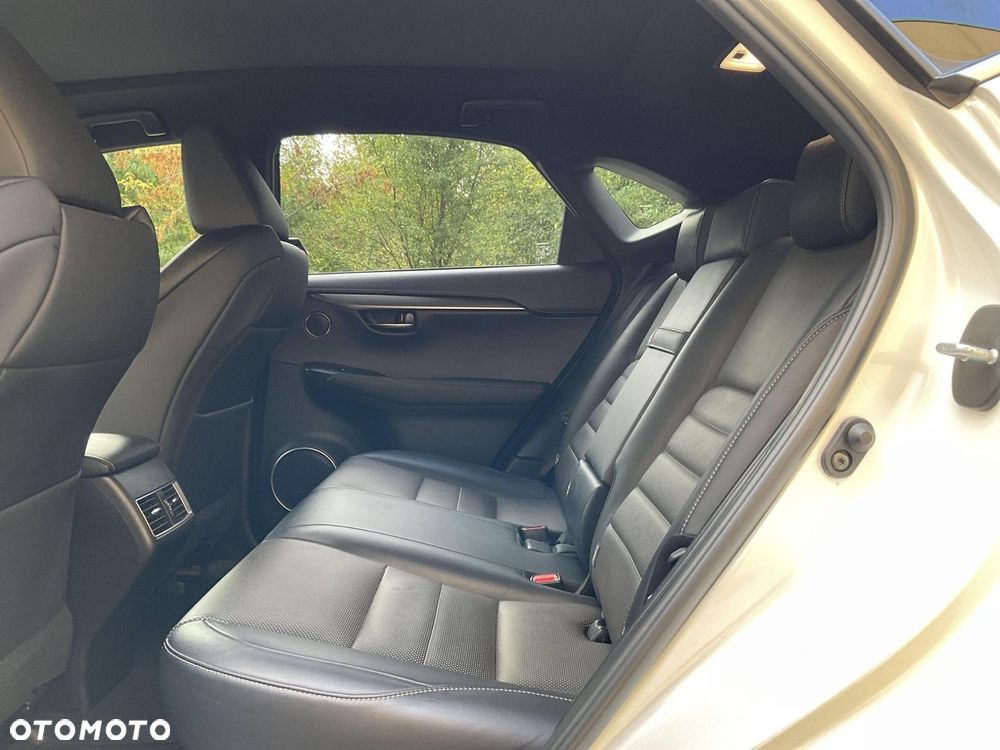 Lexus NX 300h F Sport AWD - 16