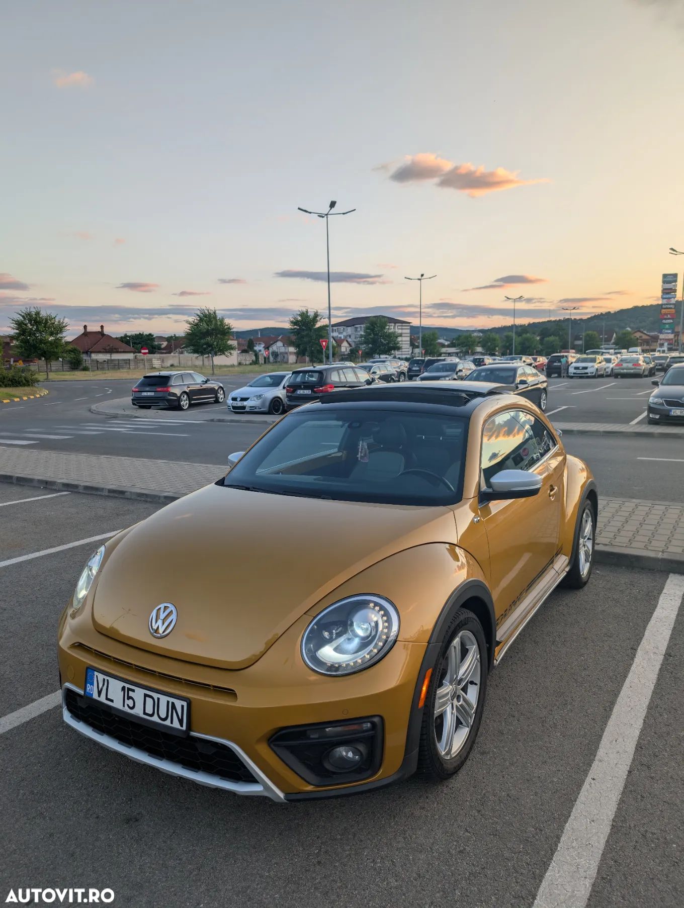 Volkswagen Beetle - 1