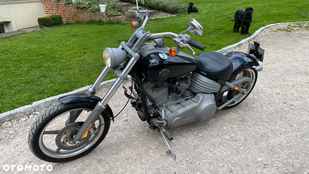 Harley-Davidson Inny - 2