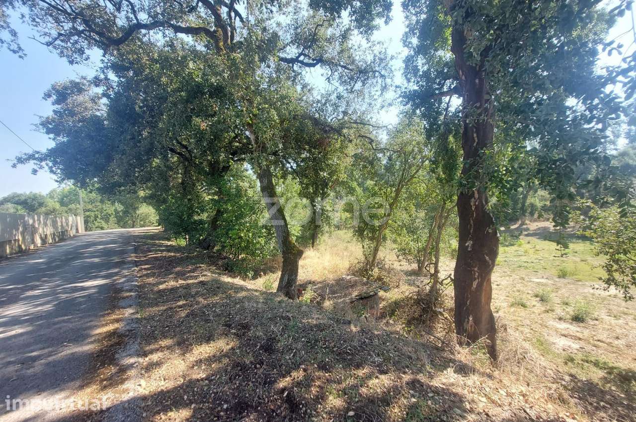 Terreno com cerca de 5.000 metros a 10 min. da Batalha - Grande imagem: 3/27