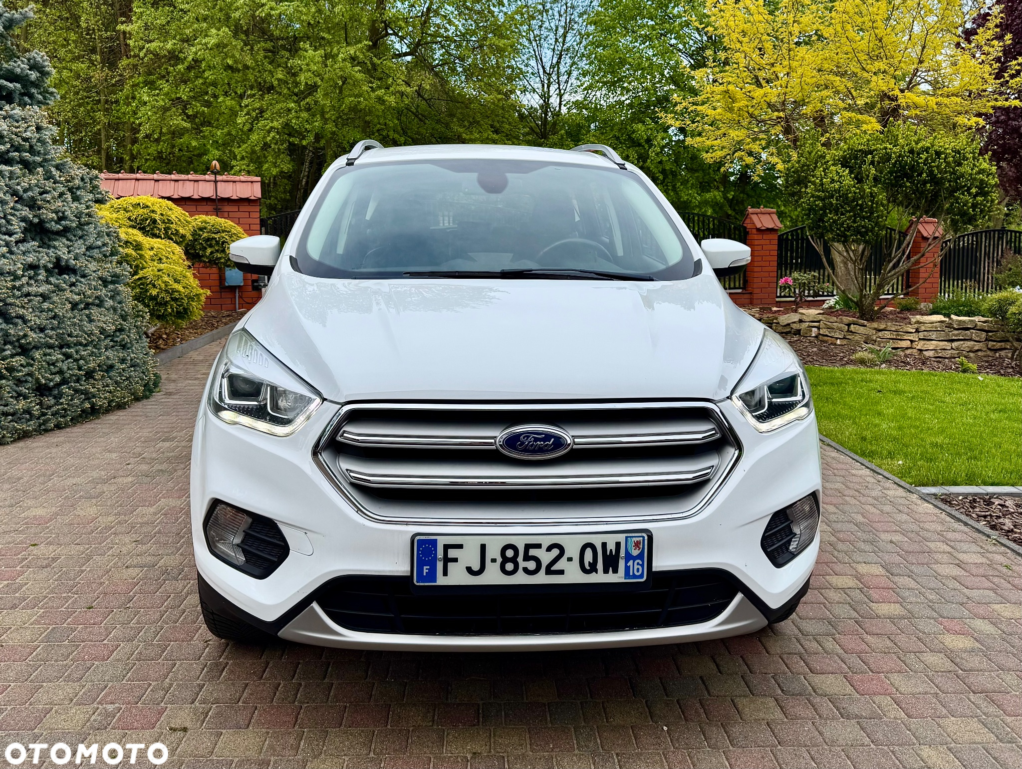 Ford Kuga 1.5 EcoBoost 2x4 Individual - 3