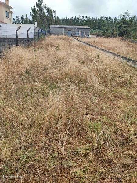 terreno parcela 410m² + 570m² amanhar agricultura água gratuita poço - Grande imagem: 2/5