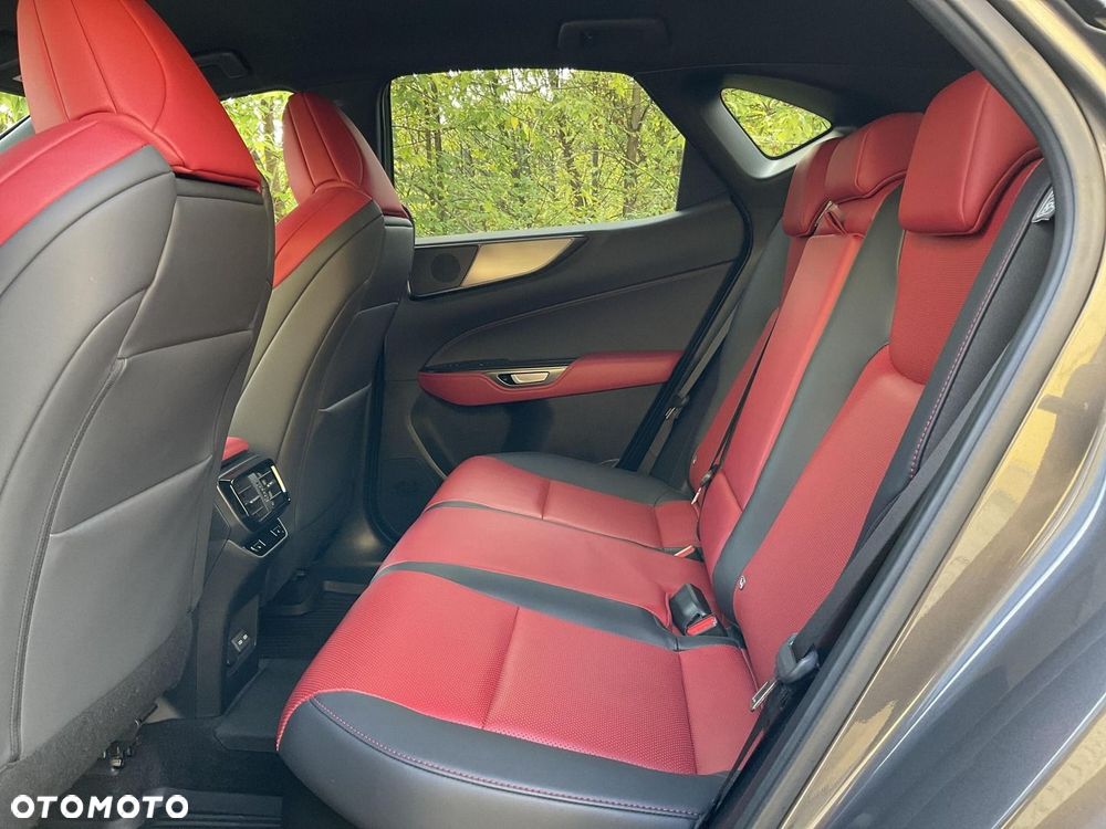 Lexus NX - 12