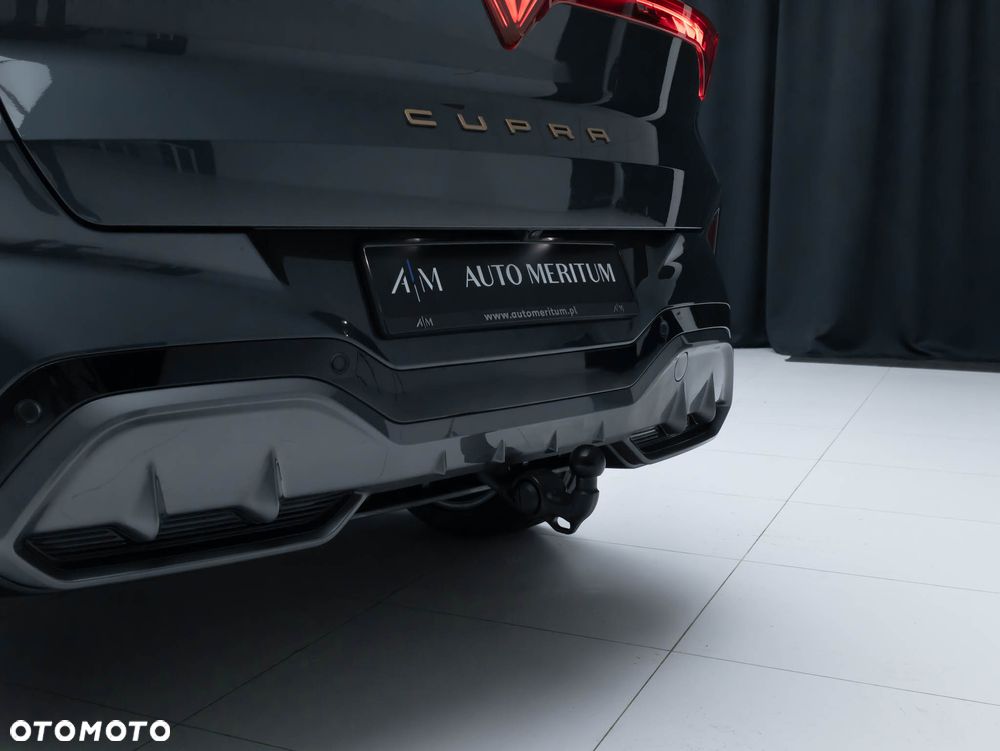 Cupra Terramar 2.0 TSI 4Drive DSG VZ - 17