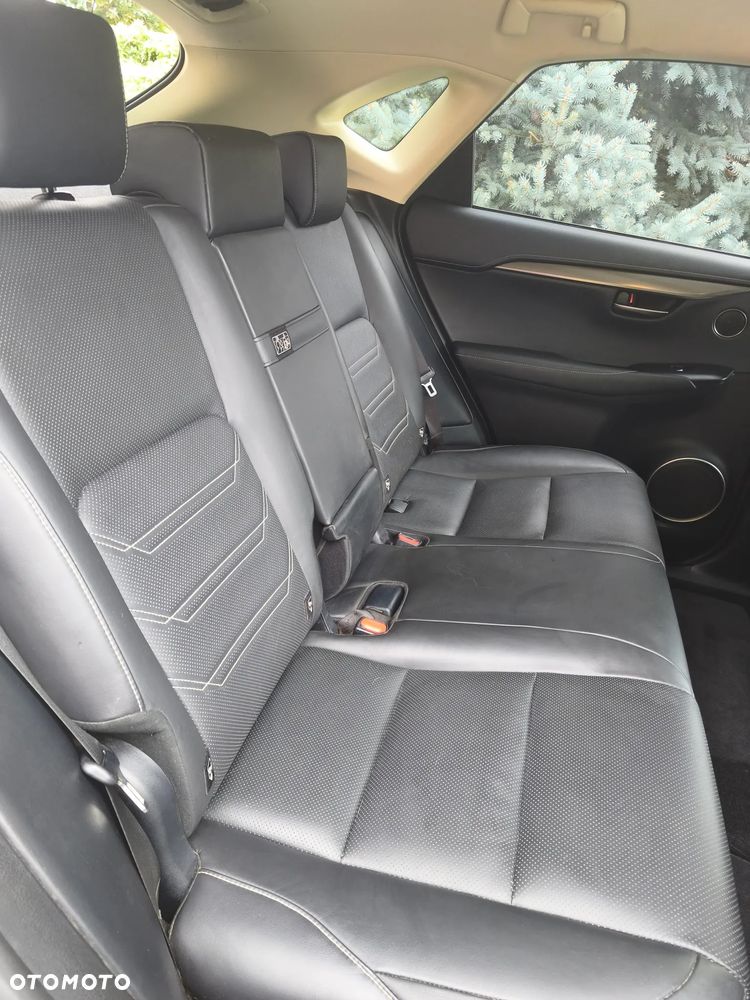 Lexus NX 300 GPF Comfort AWD - 13