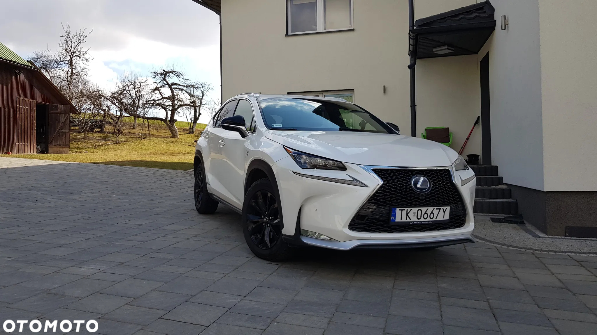 Lexus NX 300h - 12