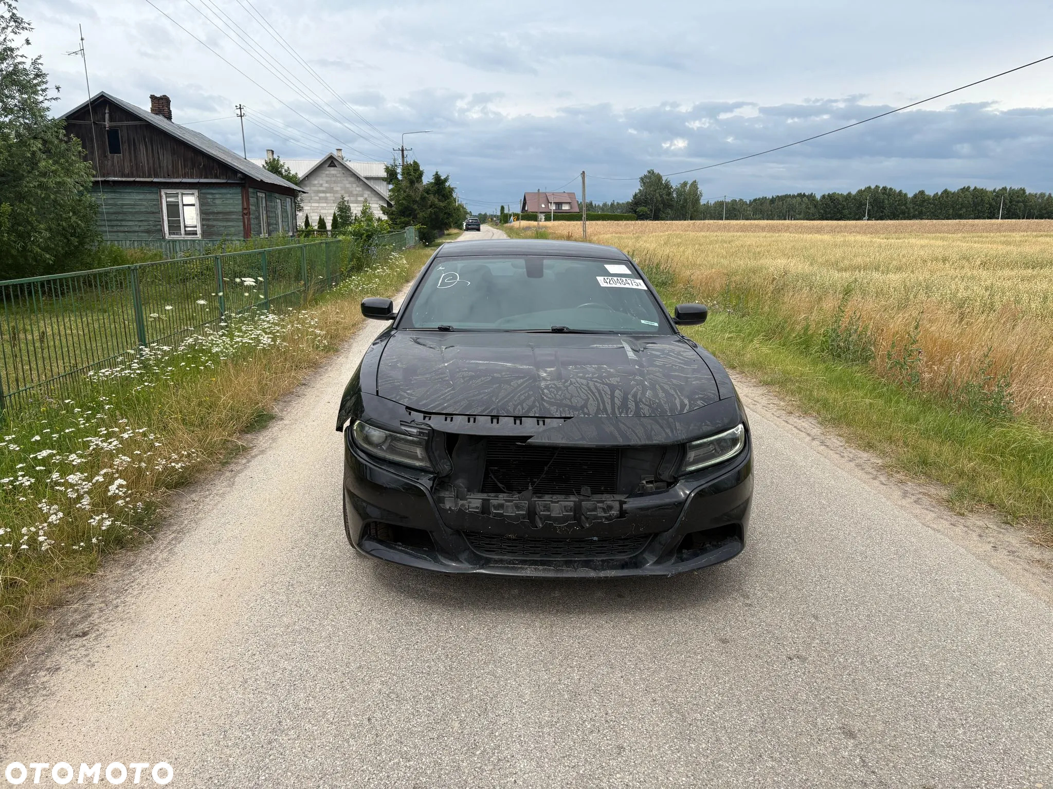 Dodge Charger Automatik Rally - 2
