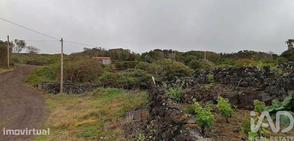 Terreno em Piedade - Grande imagem: 5/9