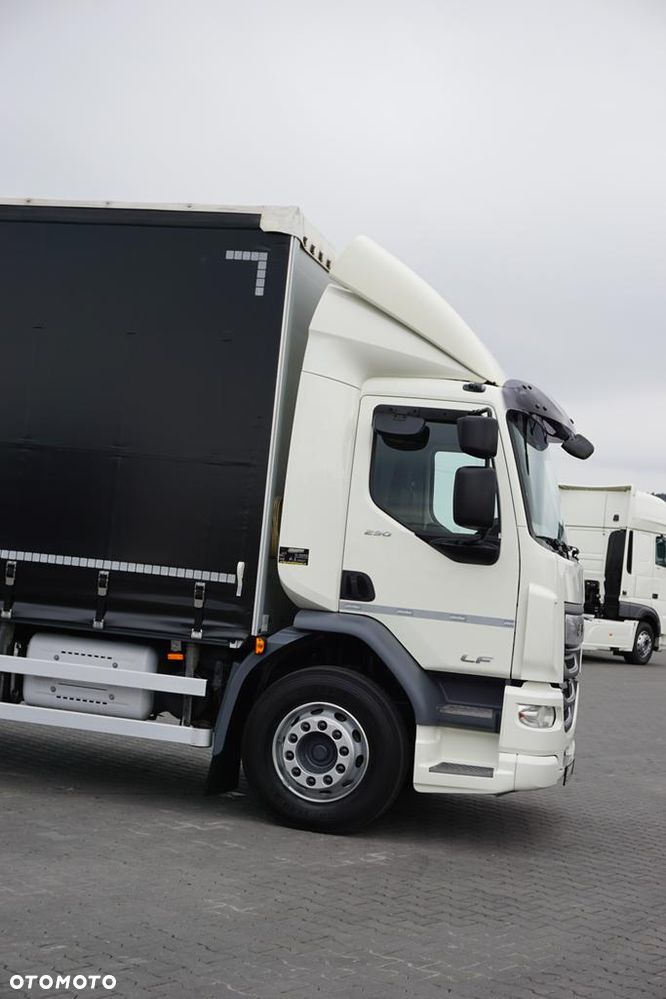 DAF / LF / 290 / E 6 / FIRANKA + WINDA / ŁAD. 9 970 KG / 19 PALET - 29