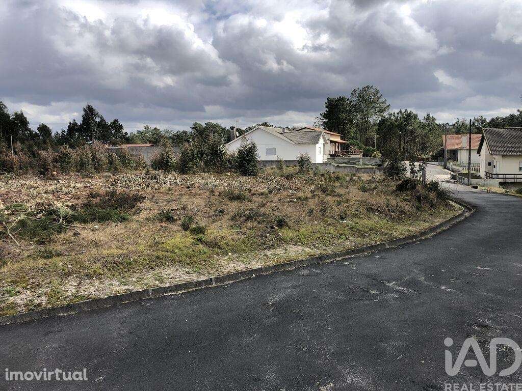 Terreno Agrícola em Marinha Grande - Grande imagem: 2/14
