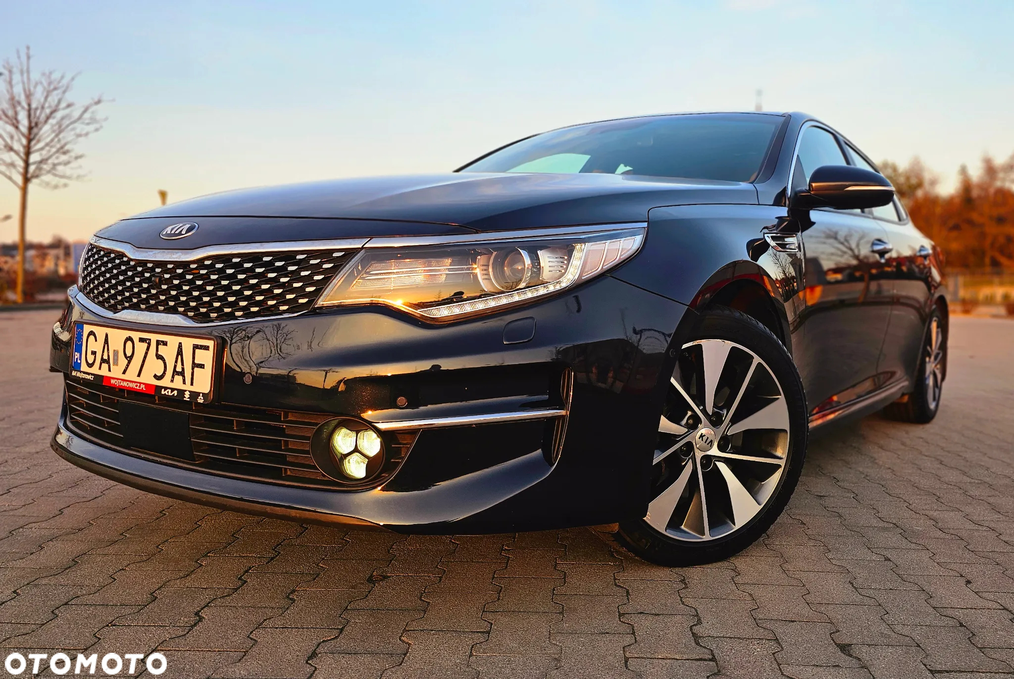 Kia Optima - 2