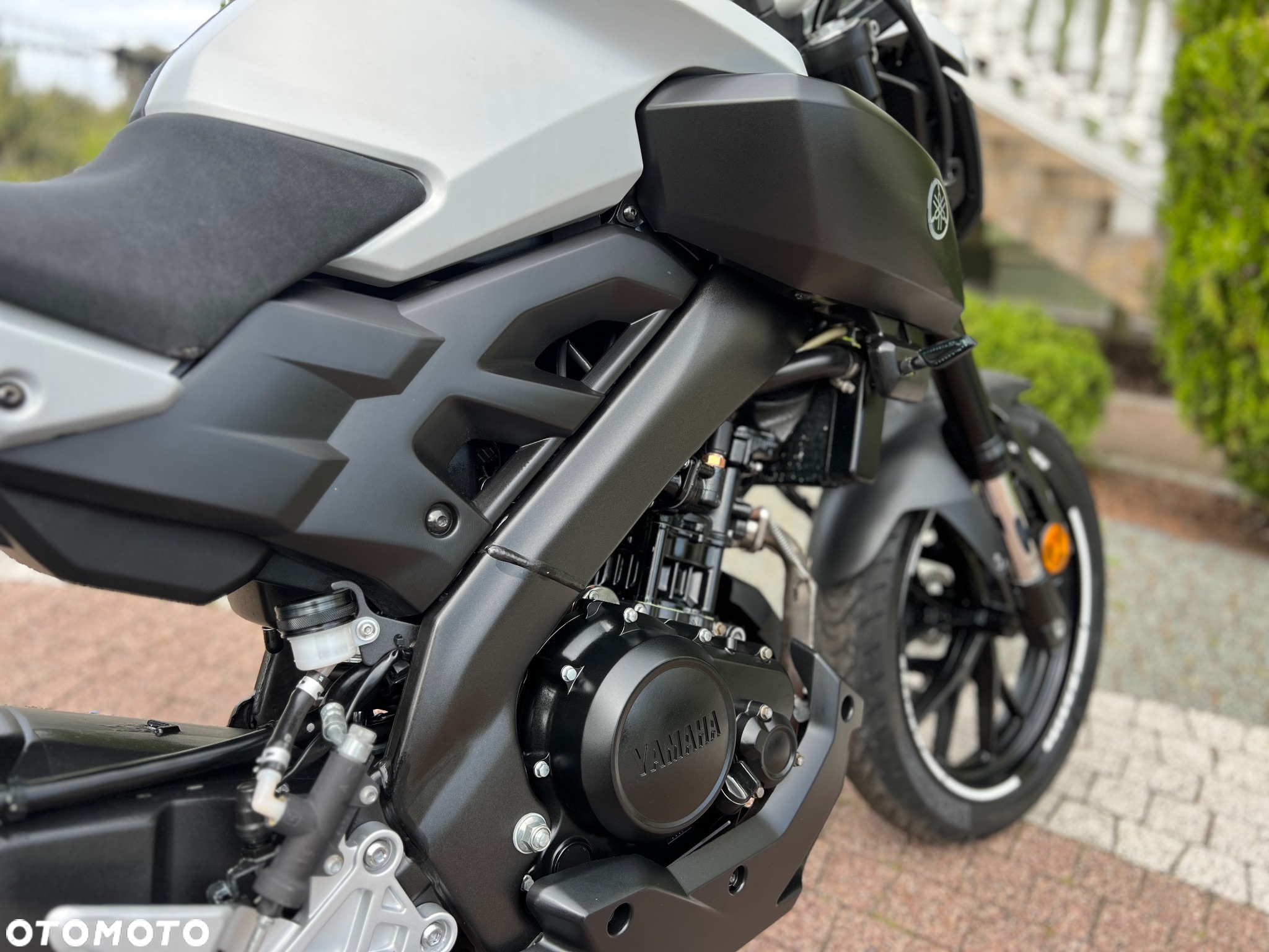 Yamaha MT - 15
