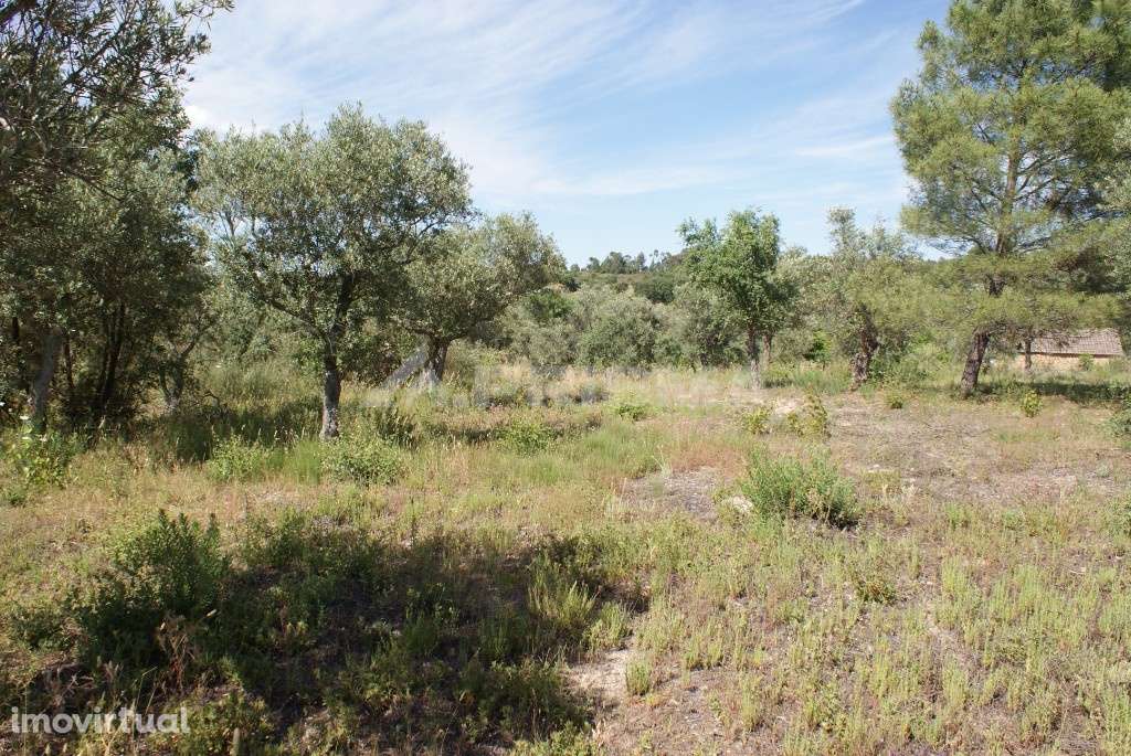 Terreno para venda - Grande imagem: 5/14